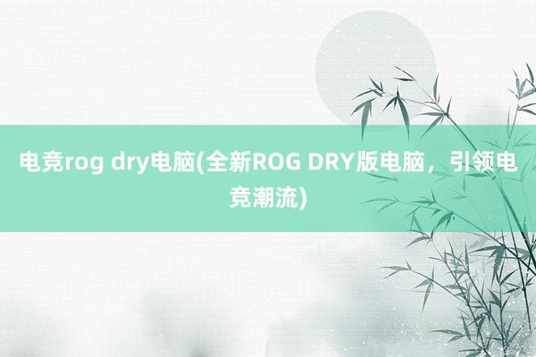 电竞rog dry电脑(全新ROG DRY版电脑，引领电竞潮流)