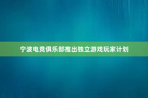 宁波电竞俱乐部推出独立游戏玩家计划