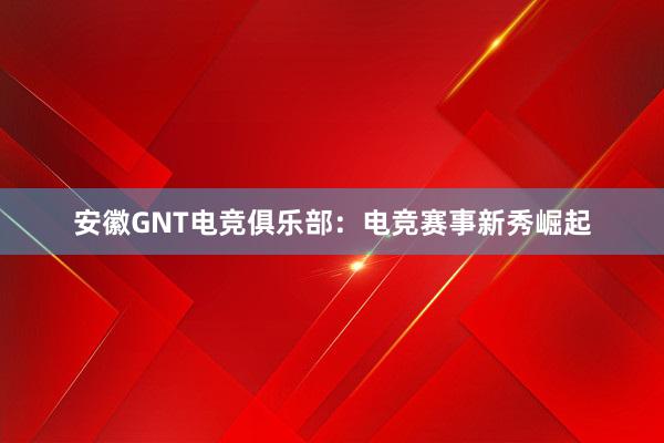 安徽GNT电竞俱乐部：电竞赛事新秀崛起