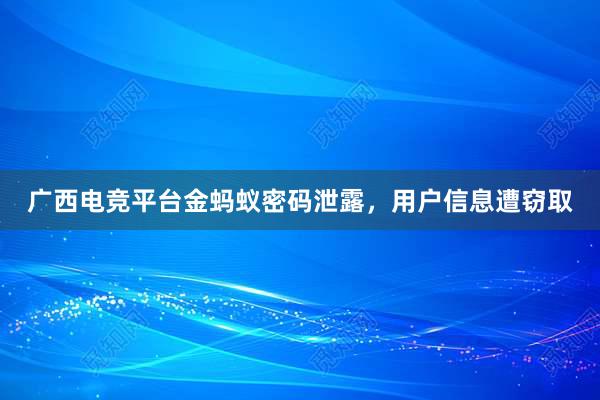 广西电竞平台金蚂蚁密码泄露，用户信息遭窃取