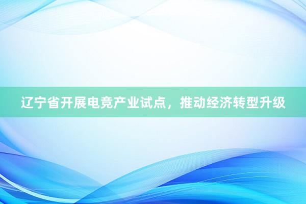 辽宁省开展电竞产业试点，推动经济转型升级