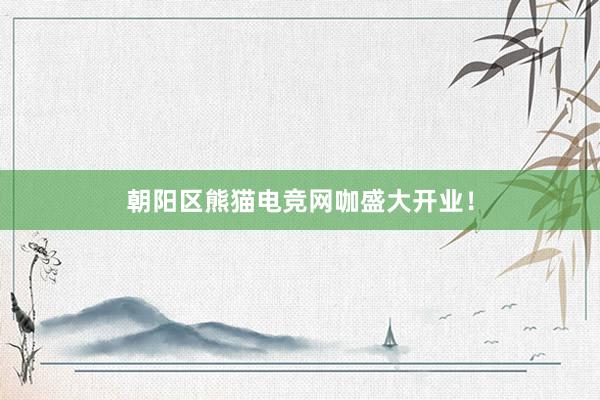 朝阳区熊猫电竞网咖盛大开业！
